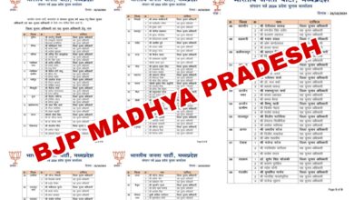 Election Officer Announcement: चुनाव अधिकारियों की जिम्मेदारी