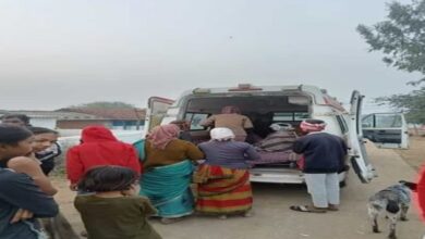 Wolf Attack News: खेत में काम कर रही महिलाओं पर भेड़िए का हमला, एक की मौत