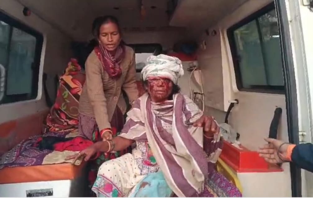 Wolf Attack News: Wolf attacks women working in the fields, one dead