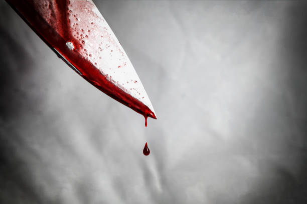 Betul Crime Update: कमजोर विवेचना का खामियाजा, शहर में दहशत