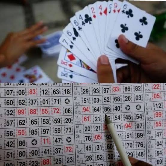 Betul Gambling News