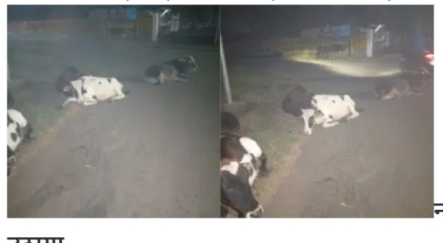 Sarni Municipality Negligence