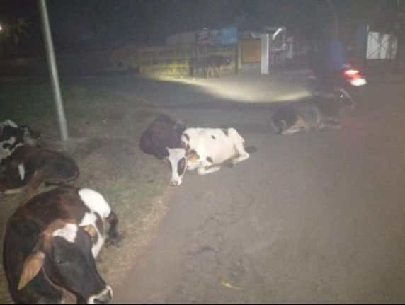 Sarni Municipality Negligence