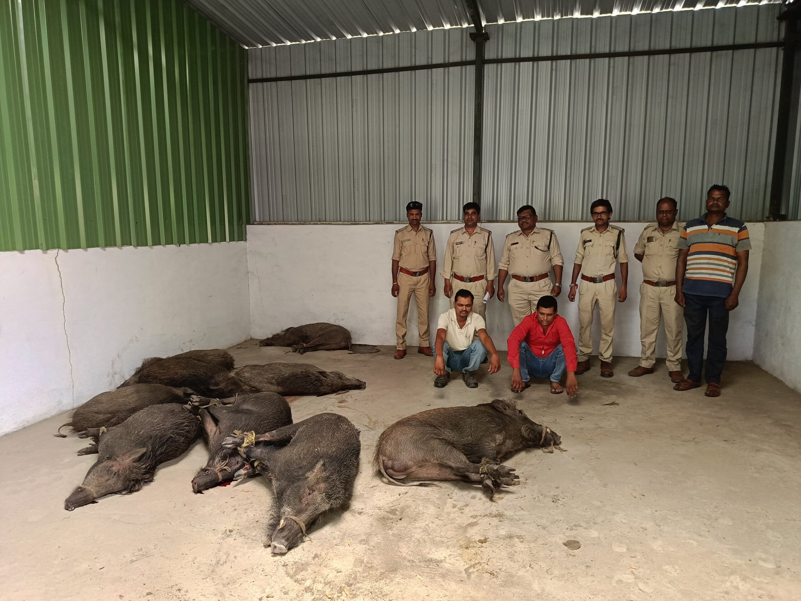 Betul wildlife crime
