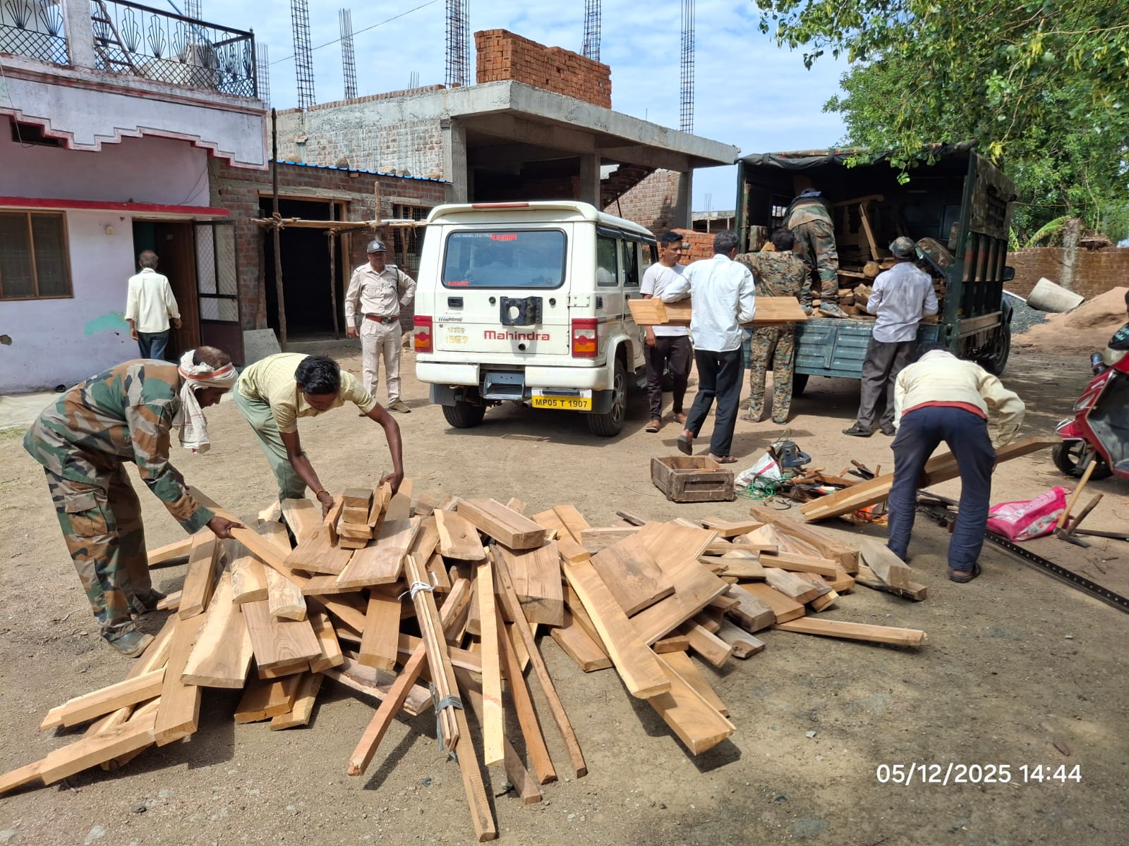 Illegal Teak