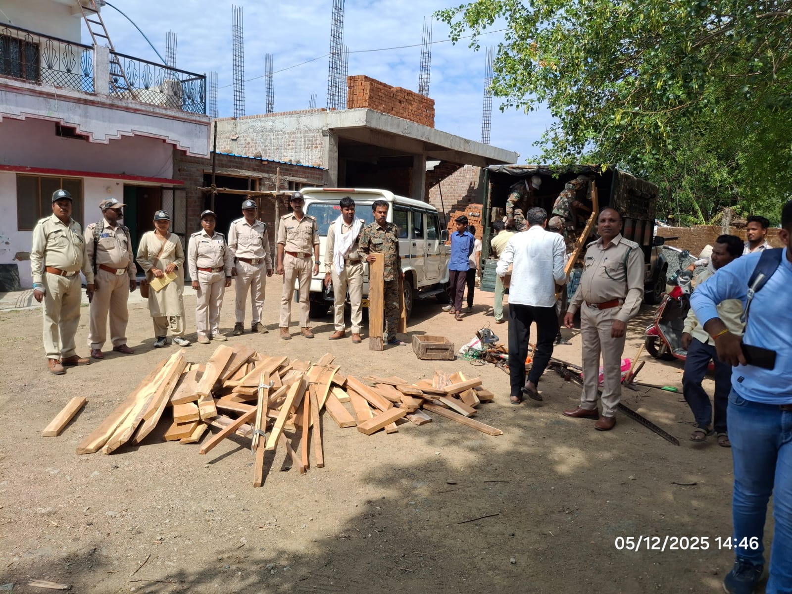 Illegal Teak