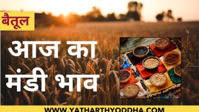 Betul Mandi Bhav: यहाँ देखे भाव एवं आवक