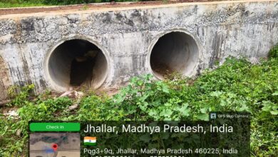 Jhallar News