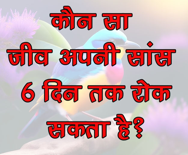 GK Questions : कौन सा जीव अपनी सांस 6 दिन तक रोक सकता है?