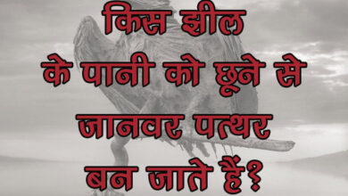GK Questions : किस झील के पानी को छूने से जानवर पत्थर बन जाते हैं?...