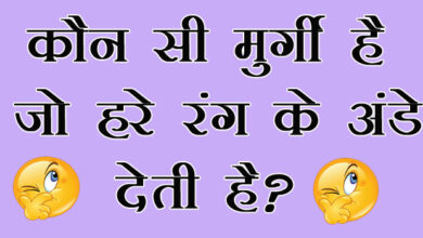 GK Questions : कौन सी मुर्गी है जो हरे रंग के अंडे देती है?...