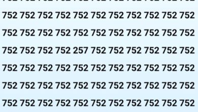Optical Illusions Powerful Test : हिम्मत है तो 10 सेकंड में 752 नंबर के बीच में से 257 नंबर को ढूंढे, बड़े बड़े विद्वान हुए फेल