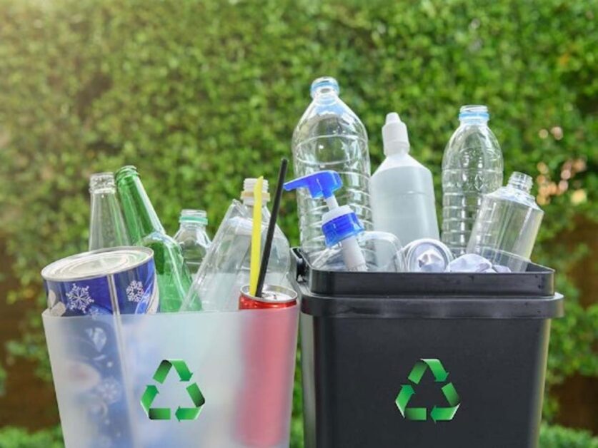 Business Idea: सिर्फ 20 हजार रुपये से घर बैठे स्‍टार्ट करें ये बिजनेस, हर महीने होगी लाखों की कमाई