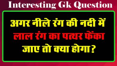 GK Questions : अगर नीले रंग की नदी में लाल रंग का पत्थर फेंका जाए तो क्या होगा?...