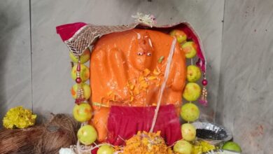 Betul News : भगवान काल भैरवाष्टमी पर किया पंचामृत अभिषेक लगाया ,पंचमेवा का भोग
