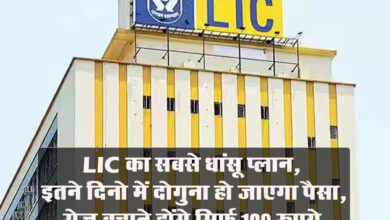LIC SIIP: LIC का सबसे धांसू प्‍लान, इतने दिनो में दोगुना हो जाएगा पैसा, रोज बचाने होंगे सिर्फ 100 रुपये