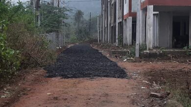 Betul News : प्रधानमंत्री आवास योजना में बन रही रोड में बिना बेस के बिछा दिया डामर