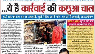 Betul News : सीएम यादव ने पदभार लेते ही अपराधियों पर नकेल और खुले में मांस बिक्री को किया था प्रतिबंधित