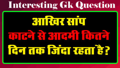 GK Questions : आखिर सांप काटने से आदमी कितने दिन तक जिंदा रहता है?...