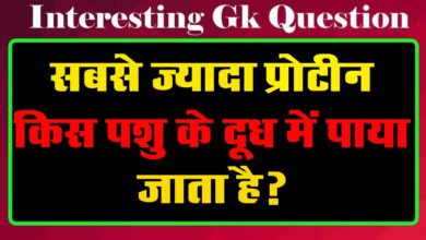 GK Questions : सबसे ज्यादा प्रोटीन किस पशु के दूध में पाया जाता है?...
