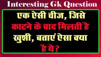 GK Questions : एक ऐसी चीज, जिसे काटने के बाद मिलती है खुशी, बताएं ऐसा क्या है ये?...