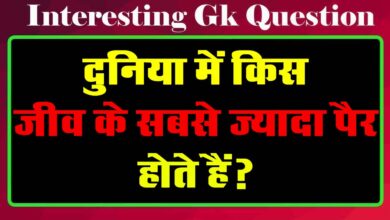 GK Questions : दुनिया में किस जीव के सबसे ज्यादा पैर होते हैं?...