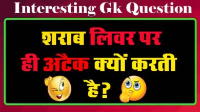 GK Questions : शराब लिवर पर ही अटैक क्यों करती है?...