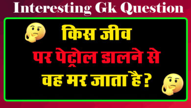 GK Questions : किस जीव पर पेट्रोल डालने से वह मर जाता है?...