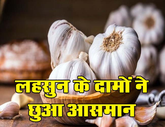 Garlic Price Hike : सर्दी आते ही लहसुन के दामों ने छुआ आसमान! अब इतनी बढ़ गई है कीमत