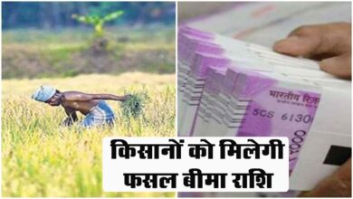 Betul News : उपभोक्ता आयोग बैतूल का आदेश, किसानों को मिलेगी फसल बीमा राशि