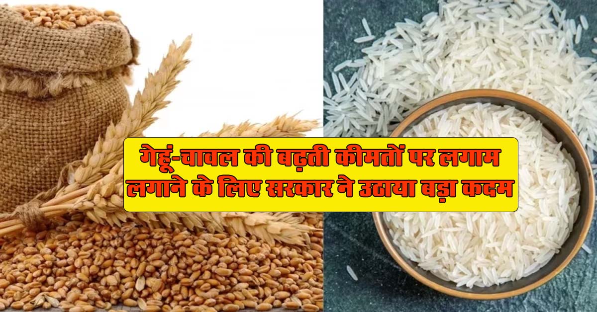Rice and Wheat Price : गेहूं-चावल की बढ़ती कीमतों पर लगाम लगाने के लिए, सरकार ने उठाया बड़ा कदम