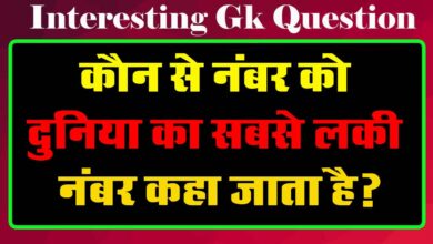 GK Questions : कौन से नंबर को दुनिया का सबसे लकी नंबर कहा जाता है?...