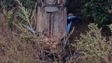 Betul Highway Accident : बैतूल में कोहरे के कारण खाई में गिरी कार, पुलिस को खबर नहीं, घायलों को भोपाल भेजा