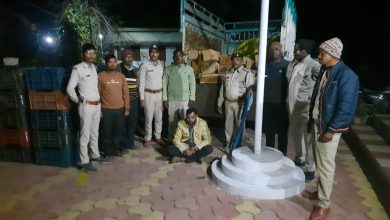 Betul Samachar : पिकअप वाहन में सब्जी कैरेट के नीचे छिपाकर की जा रही थी सागौन की तस्करी