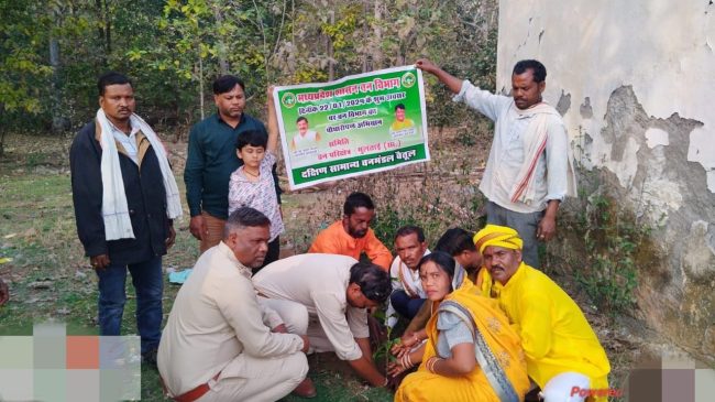 Betul Today News : वन परिक्षेत्रों के 8 ग्रामों में लगाए 37 सोलर स्ट्रीट लाइट