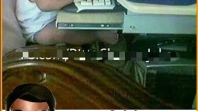 Majedar jokes : गर्लफ्रेंड- क्या आप मेरे लिए शेर को मार के ला सकते हो? बॉयफ्रेंड – नो जी, कुछ और बताओ, मैं तुम्हारे लिए और कुछ भी कर सकता हूं...