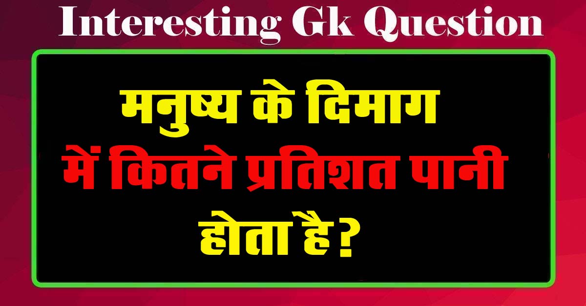 GK Questions : मनुष्य के दिमाग में कितने प्रतिशत पानी होता है?...