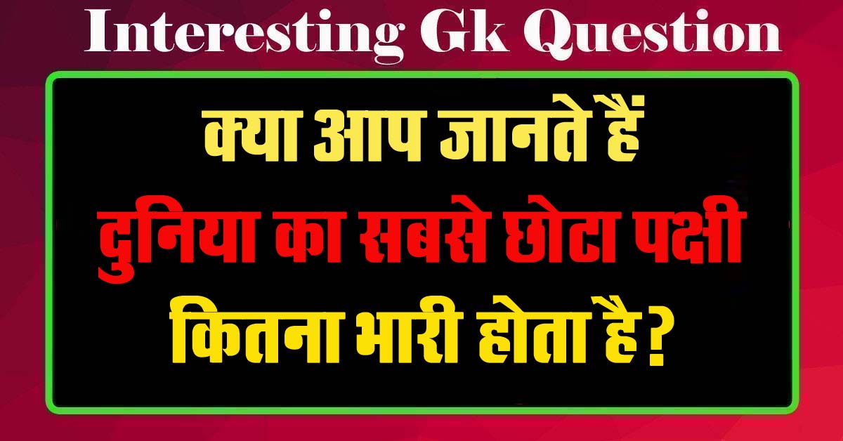 GK Questions : क्या आप जानते हैं दुनिया का सबसे छोटा पक्षी कितना भारी होता है?...