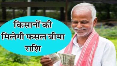 Betul News : भैंसदेही व मुलताई के किसानों की मिलेगी फसल बीमा राशि