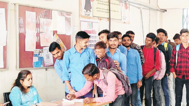 Betul Today News : 191 युवा हुए चयनित, रोजगार मेला संपन्न