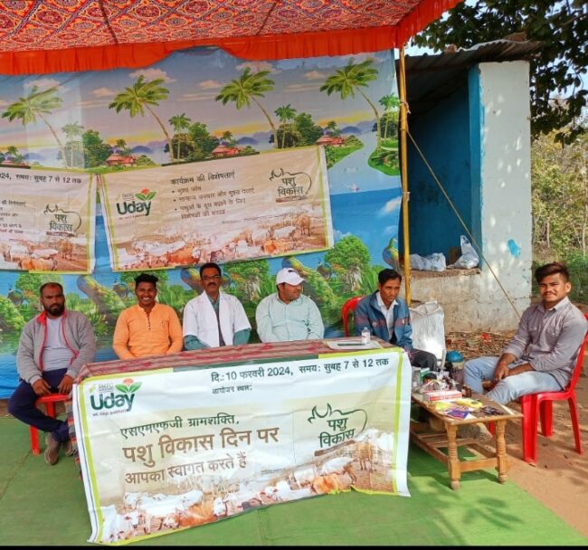 Betul News : पशु आरोग्य शिविर में सैकड़ों पशुओं का हुआ इलाज