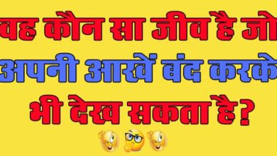 GK Questions : वह कौन सा जीव है जो अपनी आखें बंद करके भी देख सकता है?...