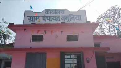 Chhindwara News : तामिया जनपद की ग्राम पंचायत जमुनिया में विकास की लहर