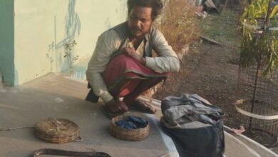 Betul Samachar : शिवरात्रि के पहले वन विभाग का चला सपेरों पर डंडा, कोबरा सांप लेकर घूम रहे सपेरे को भेजा जेल