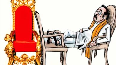 Betul District Politics