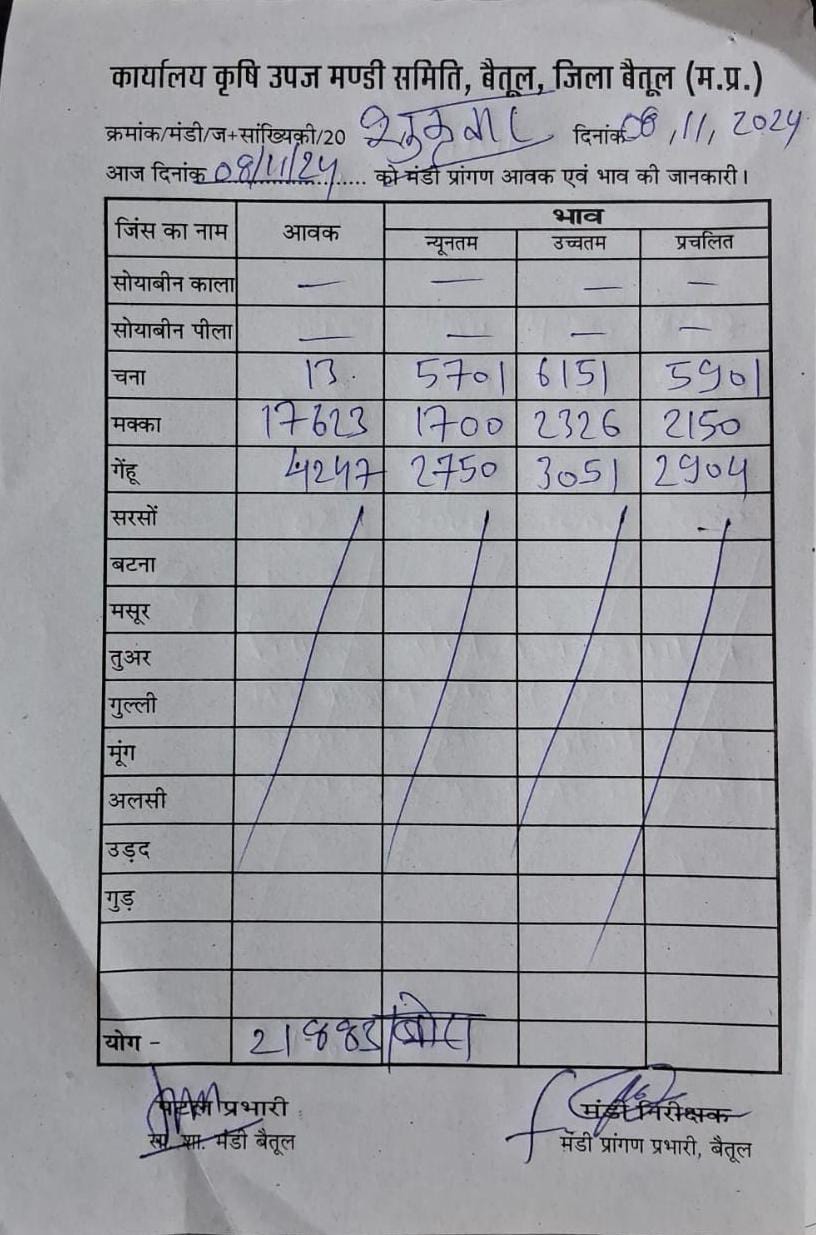 Betul Mandi Bhav : 8 November 2024