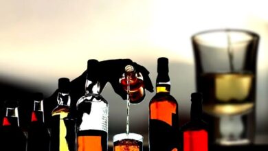 Betul Excise Department