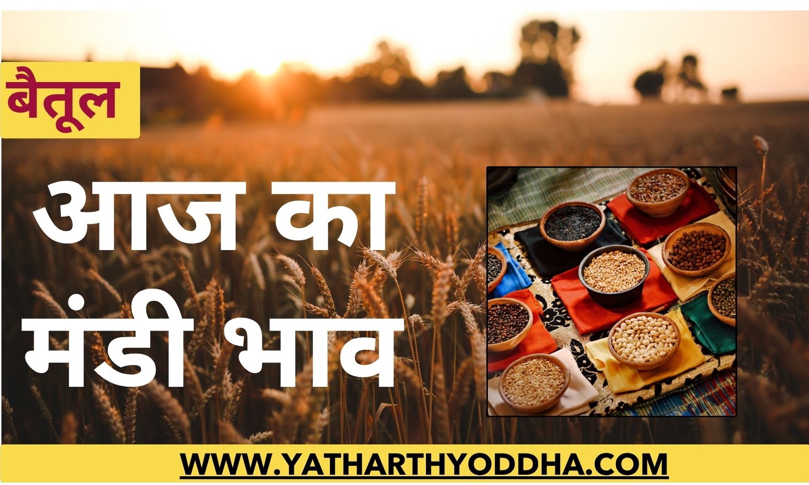 Betul Mandi Bhav: यहाँ देखे भाव एवं आवक