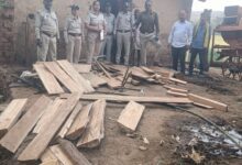 Betul forest department action