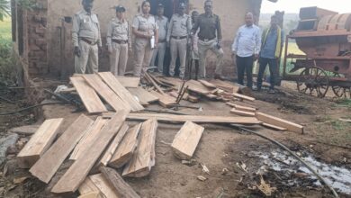 Betul forest department action